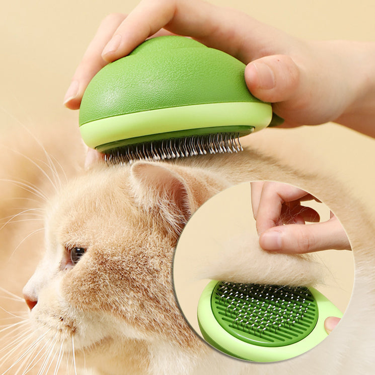 GROOMING & CARE